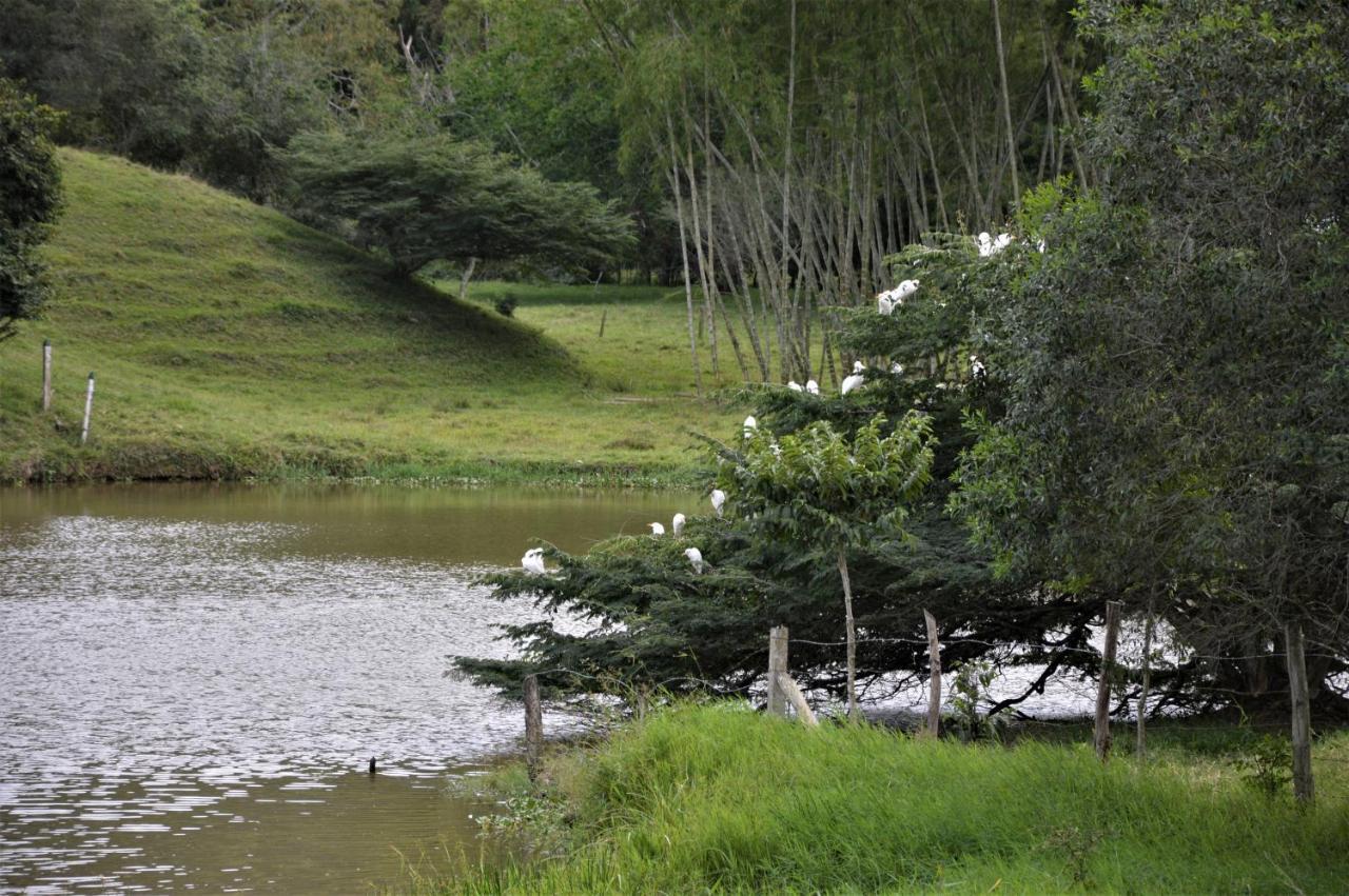 San Juan De Guayabos Guaduas